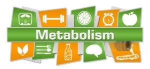 Metabolism Health Symbols